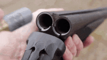 Double Barrel Shotgun GIF