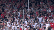 f95 GIF by Fortuna Düsseldorf
