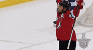 happy ice hockey GIF by NHL