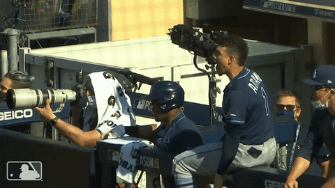 Excited Major League Baseball GIF by MLB