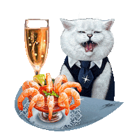 Cat Britishcat Sticker by British cats cattery and Apollo cat.
