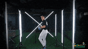 Tulane Rollwave GIF by GreenWave