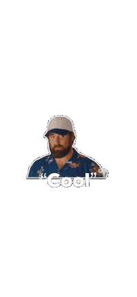 Hockey Lol Sticker by CarShield