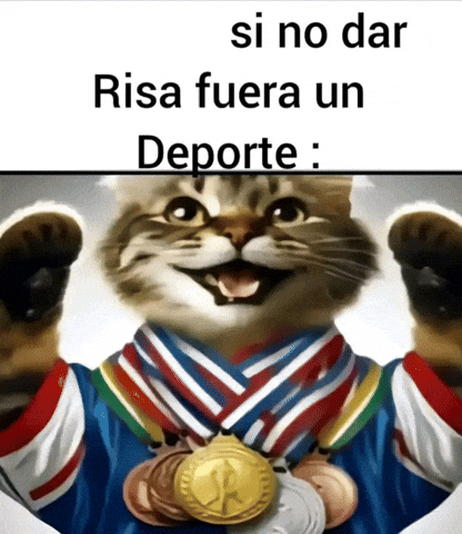 Xdxdd GIF