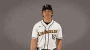 Cal State La Baseball GIF by Cal State LA Golden Eagles