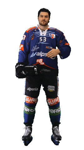 Ice Hockey Sport Sticker by Rittner Buam