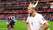 World Cup Fans GIF