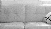 lesbian couple GIF