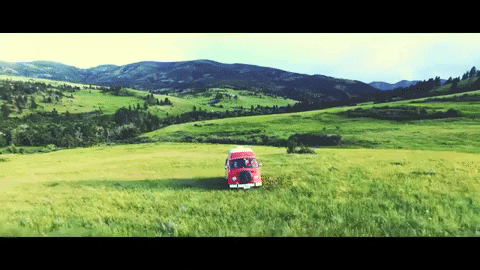 montana GIF