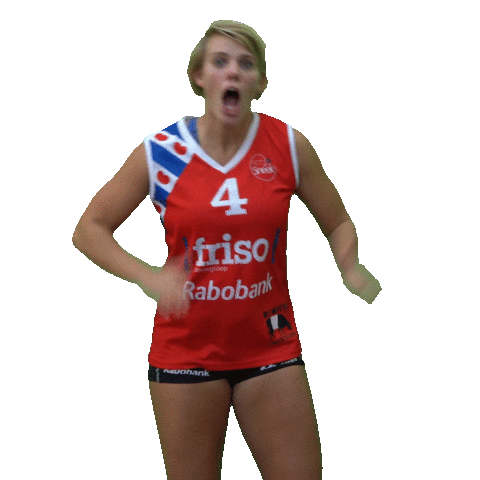 Volleybal Sneek Sticker by EyeWax