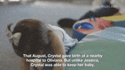 GIF by WOMAN