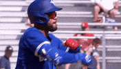 Happy Blue Jays GIF by Toronto Blue Jays