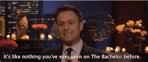 chris harrison GIF