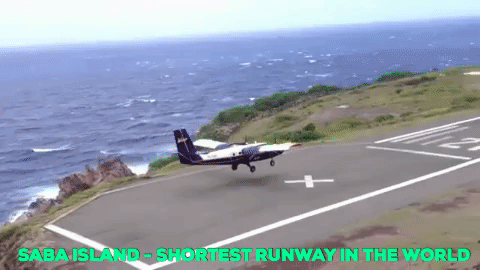 travel wow GIF