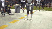 NevadaWolfPack football wolf pack unr nevada wolf pack GIF