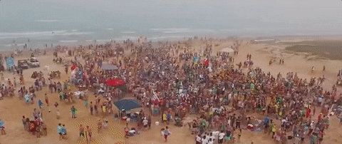 GIF by Disco Donnie Presents