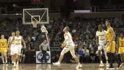 celebration nku GIF by Northern Kentucky University Athletics