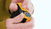 Backcountry_Access ski safety avalanche bca GIF