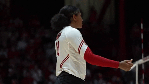 Happy Wisconsin Volleyball GIF by Wisconsin Badgers