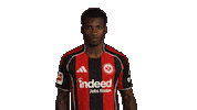 Eintracht Frankfurt Sticker by Bundesliga