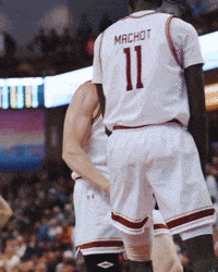 College Of Charleston Cougars GIF by Charleston Basketball