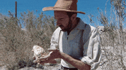 Ytg GIF by Young The Giant