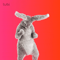 Dance Bunny GIF by Tubi