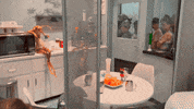 Universal Studios Kitchen GIF