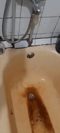 GIF by Jewish Federation of Greater MetroWest NJ