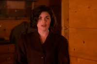season 2 episode 10 GIF by Twin Peaks on Showtime