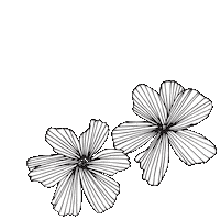 Flower Drawing Sticker by Jinny Ngui Design