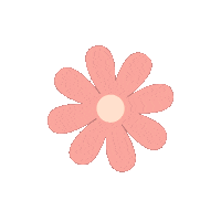 Summer Rainbow Sticker