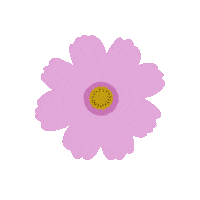 Flower Cosmo Sticker