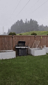 Hail Falls North of Seattle as Cold Snap Grips Region