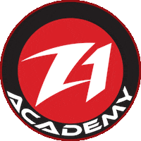 bjj bjjangola Sticker by puroacademy
