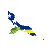 Turtle Curacao Sticker