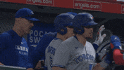 Blue Jays Baseball GIF by Toronto Blue Jays