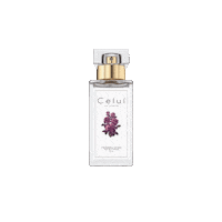 Angel Smell Good Sticker by Celuí Fragrance