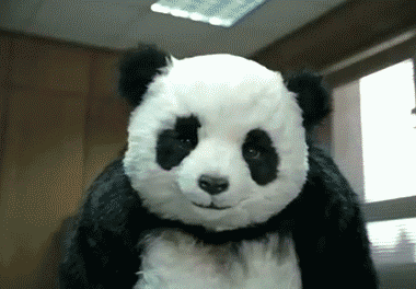 angry giant panda GIF