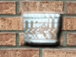 Vintage GIF by jorgemariozuleta