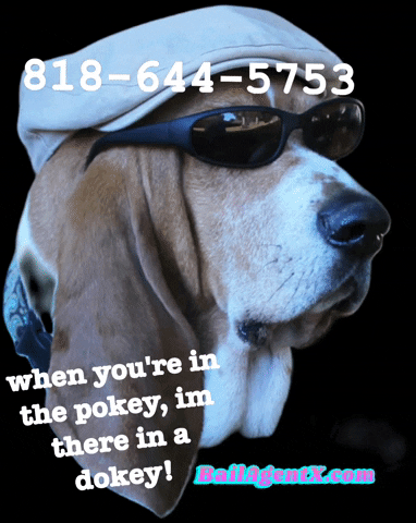BailAgentX 818-644-5753 bailagentxcom when youre in the pokey im there in a dokey GIF