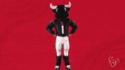 Oh Man Nfl GIF by Houston Texans