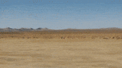Soular GIF by Kyle Dion