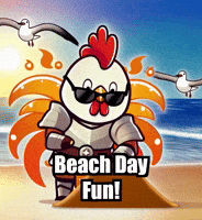 Summer Beach GIF by Zorooster