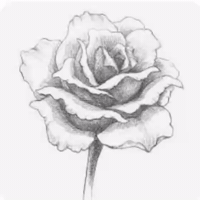 花香蝶來