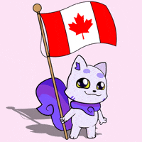 Canadian Hockey GIF by Lucky Kat Studios