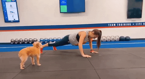f45trainingrv giphyupload GIF