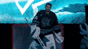 San Jose Win GIF by San Jose Barracuda
