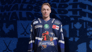 Celebration Hockey GIF by Iserlohn Roosters