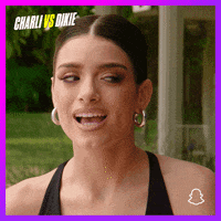Dixie Snaporiginals GIF by Snap